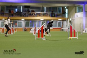 1T0A3904_DxO