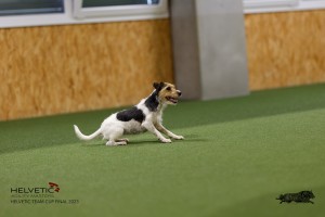 1T0A3947_DxO