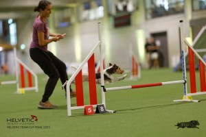 1T0A3967_DxO