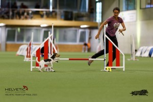 1T0A4020_DxO