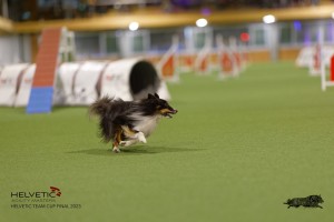 1T0A4095_DxO