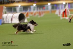 1T0A4097_DxO