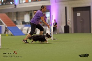 1T0A4137_DxO