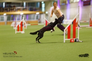 EH8A0264_DxO