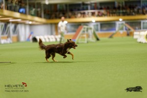 1T0A1862_DxO