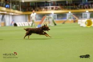 1T0A1863_DxO