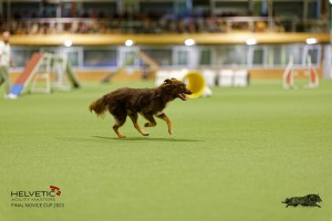 1T0A1868_DxO