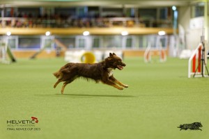 1T0A1870_DxO