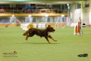 1T0A1871_DxO