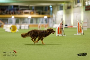 1T0A1873_DxO