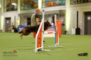 1T0A1885_DxO