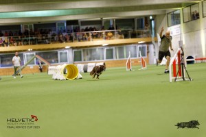 1T0A1911_DxO