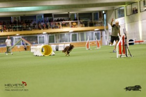 1T0A1912_DxO