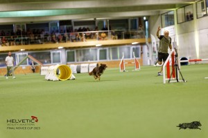 1T0A1913_DxO
