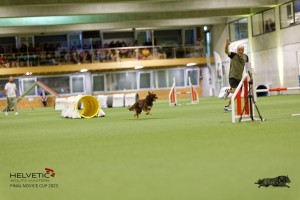 1T0A1914_DxO