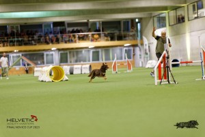 1T0A1915_DxO