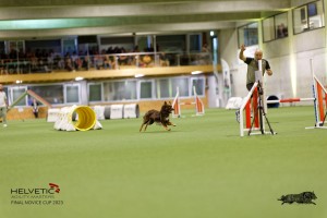 1T0A1916_DxO