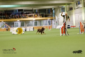 1T0A1917_DxO
