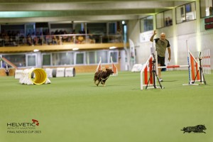 1T0A1919_DxO
