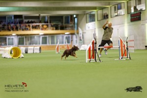 1T0A1922_DxO