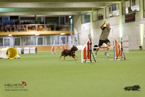1T0A1923_DxO