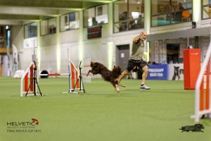 1T0A1939_DxO