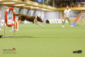 1T0A2072_DxO