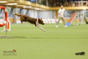 1T0A2073_DxO