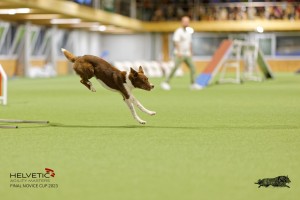 1T0A2074_DxO