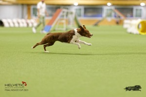 1T0A2078_DxO