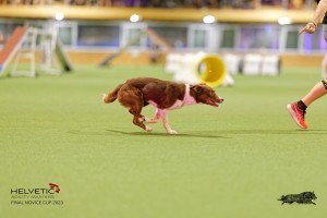 1T0A2081_DxO