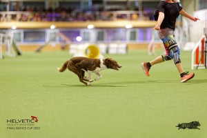 1T0A2082_DxO