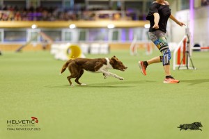 1T0A2083_DxO