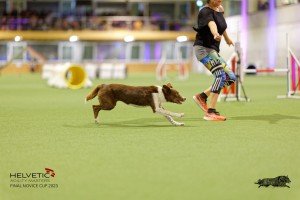 1T0A2084_DxO