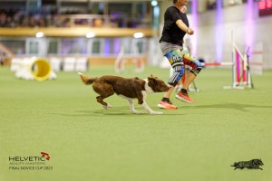 1T0A2085_DxO
