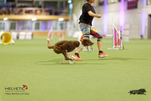 1T0A2086_DxO