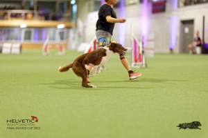 1T0A2087_DxO
