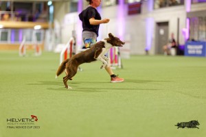 1T0A2088_DxO