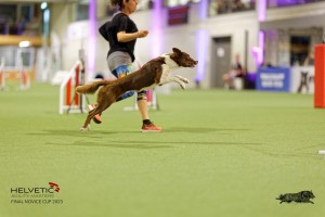 1T0A2089_DxO