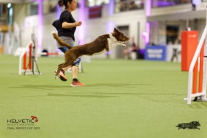 1T0A2090_DxO