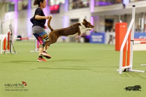 1T0A2091_DxO