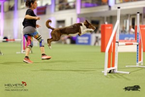 1T0A2092_DxO