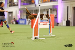 1T0A2095_DxO