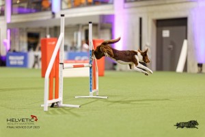 1T0A2098_DxO