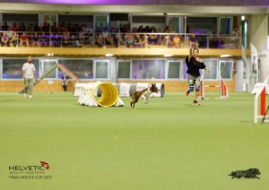 1T0A2107_DxO