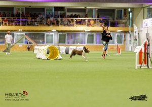 1T0A2110_DxO