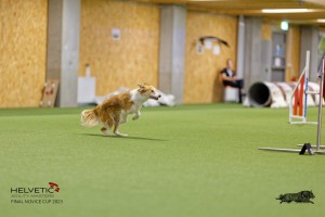 1T0A2180_DxO