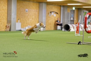 1T0A2181_DxO