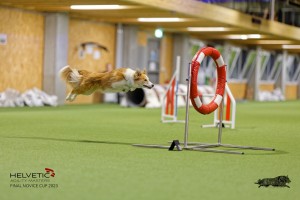 1T0A2185_DxO