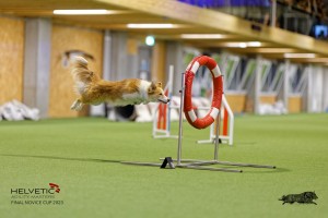 1T0A2186_DxO